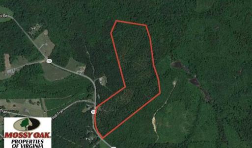 Photo of 45.55 Acres of Recreational Land For Sale in Mecklenburg Co VA!