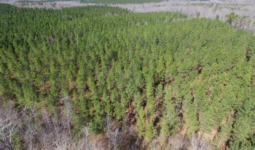 Photo of 45.55 Acres of Recreational Land For Sale in Mecklenburg Co VA!