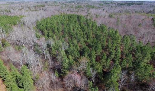 Photo of 45.55 Acres of Recreational Land For Sale in Mecklenburg Co VA!