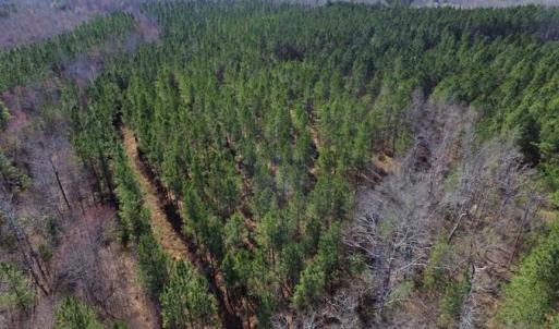Photo of 45.55 Acres of Recreational Land For Sale in Mecklenburg Co VA!