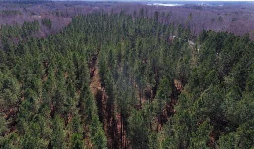 Photo of 45.55 Acres of Recreational Land For Sale in Mecklenburg Co VA!