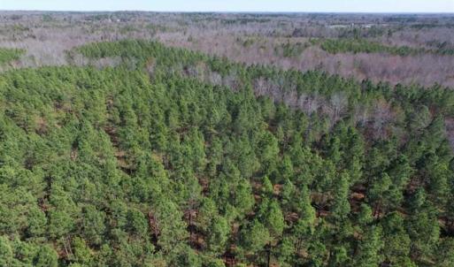 Photo of 45.55 Acres of Recreational Land For Sale in Mecklenburg Co VA!