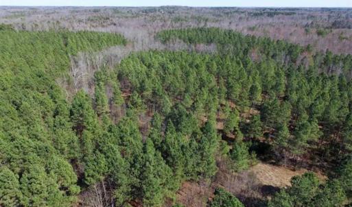 Photo of 45.55 Acres of Recreational Land For Sale in Mecklenburg Co VA!