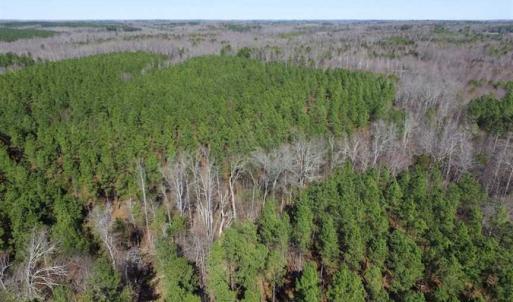 Photo of 45.55 Acres of Recreational Land For Sale in Mecklenburg Co VA!