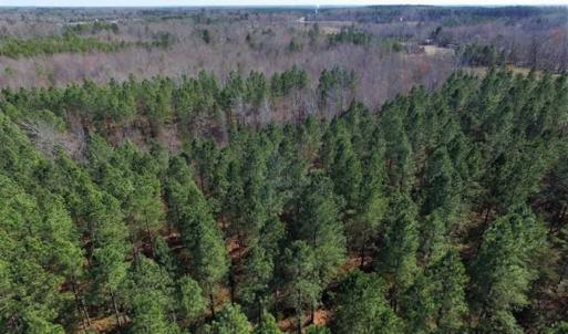 Photo of 45.55 Acres of Recreational Land For Sale in Mecklenburg Co VA!