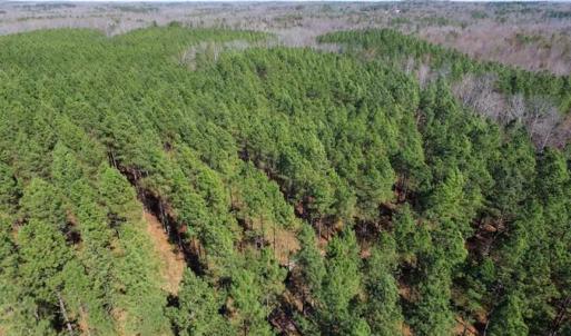 Photo of 45.55 Acres of Recreational Land For Sale in Mecklenburg Co VA!