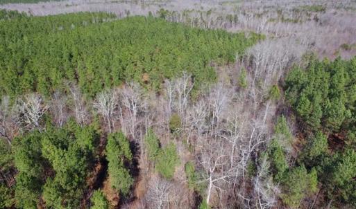 Photo of 45.55 Acres of Recreational Land For Sale in Mecklenburg Co VA!