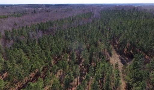 Photo of 45.55 Acres of Recreational Land For Sale in Mecklenburg Co VA!