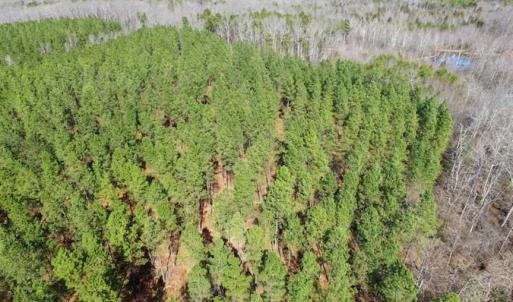 Photo of 45.55 Acres of Recreational Land For Sale in Mecklenburg Co VA!