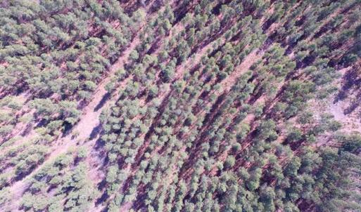 Photo of 45.55 Acres of Recreational Land For Sale in Mecklenburg Co VA!