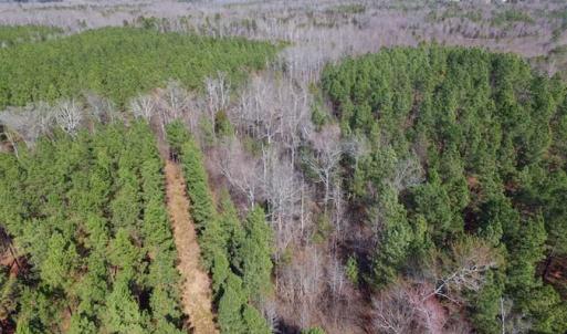 Photo of 45.55 Acres of Recreational Land For Sale in Mecklenburg Co VA!