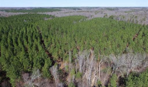Photo of 45.55 Acres of Recreational Land For Sale in Mecklenburg Co VA!