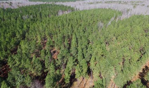 Photo of 45.55 Acres of Recreational Land For Sale in Mecklenburg Co VA!