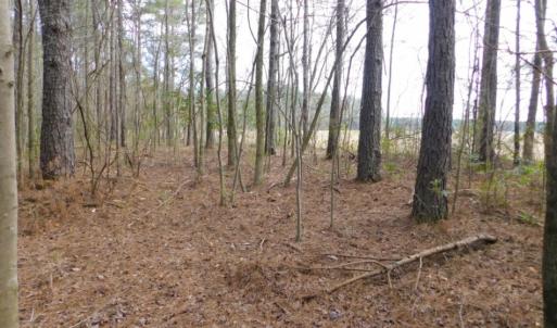 Photo of SOLD!  5.04 Acres of Residential and Hunting Land For Sale in Lenior County NC!