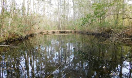 Photo of SOLD!  5.04 Acres of Residential and Hunting Land For Sale in Lenior County NC!