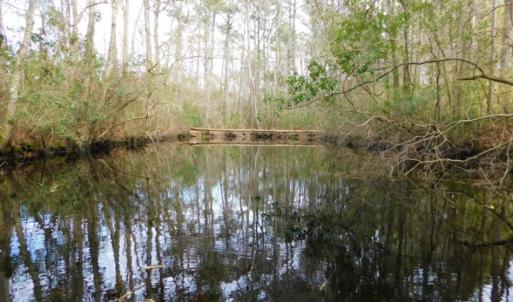 Photo of SOLD!  5.04 Acres of Residential and Hunting Land For Sale in Lenior County NC!