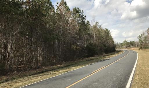 Photo of UNDER CONTRACT!  90 Acres of Timber and Hunting Land For Sale in Columbus County NC!