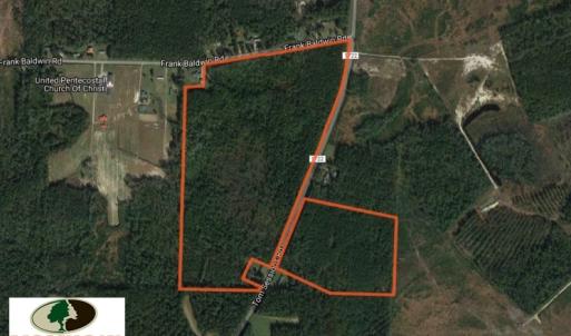 Photo of UNDER CONTRACT!  90 Acres of Timber and Hunting Land For Sale in Columbus County NC!