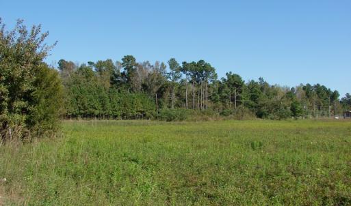 Photo of UNDER CONTRACT!  3.36 Acre Lot For Sale in Columbus County NC!