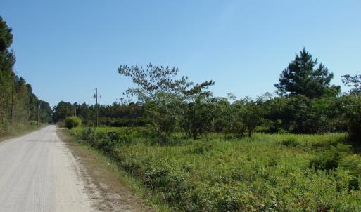 Photo of UNDER CONTRACT!  3.36 Acre Lot For Sale in Columbus County NC!