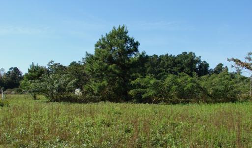 Photo of UNDER CONTRACT!  3.36 Acre Lot For Sale in Columbus County NC!