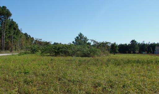 Photo of UNDER CONTRACT!  3.36 Acre Lot For Sale in Columbus County NC!