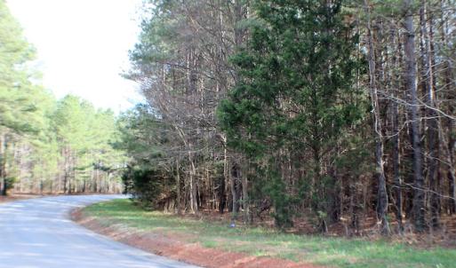 Photo of UNDER CONTRACT!  20 Acres of Timberland For Sale in Lunenburg County VA!