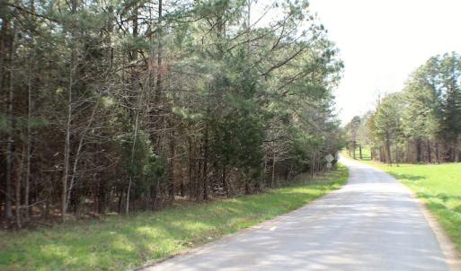 Photo of UNDER CONTRACT!  20 Acres of Timberland For Sale in Lunenburg County VA!