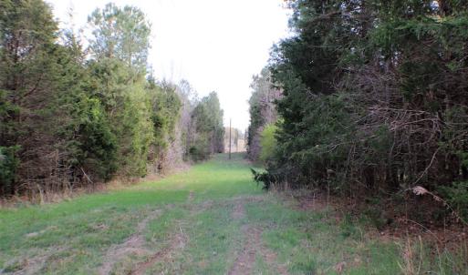 Photo of UNDER CONTRACT!  20 Acres of Timberland For Sale in Lunenburg County VA!