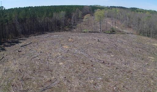 Photo of SOLD!  42 Acres of Hunting Land in Nash County NC!