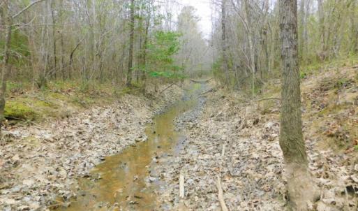 Photo of SOLD!  15.54 Acres of Hunting and Timber Land For Sale in Northampton County NC!