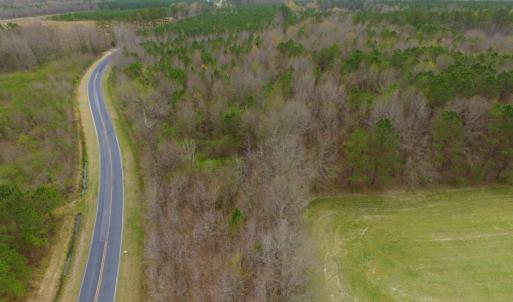 Photo of SOLD!  15.54 Acres of Hunting and Timber Land For Sale in Northampton County NC!