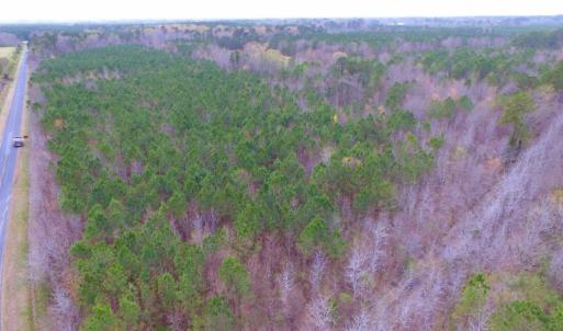 Photo of SOLD!  15.54 Acres of Hunting and Timber Land For Sale in Northampton County NC!