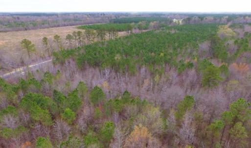 Photo of SOLD!  15.54 Acres of Hunting and Timber Land For Sale in Northampton County NC!