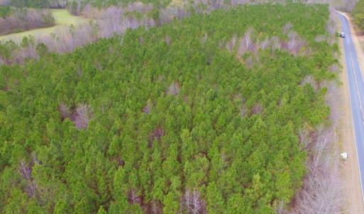 Photo of SOLD!  15.54 Acres of Hunting and Timber Land For Sale in Northampton County NC!