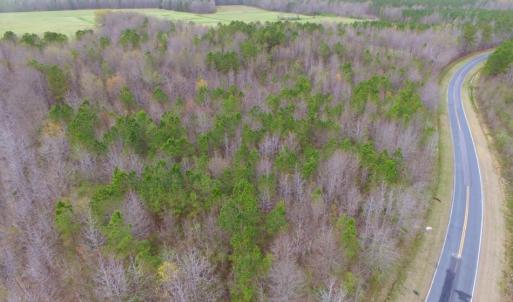 Photo of SOLD!  15.54 Acres of Hunting and Timber Land For Sale in Northampton County NC!