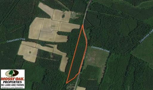 Photo of SOLD!  15.54 Acres of Hunting and Timber Land For Sale in Northampton County NC!