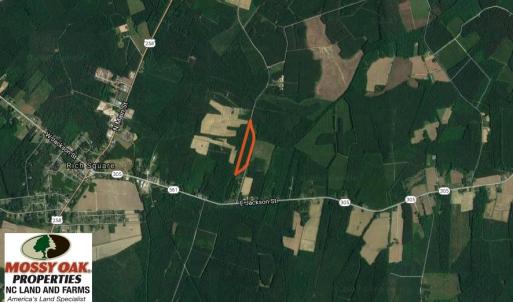 Photo of SOLD!  15.54 Acres of Hunting and Timber Land For Sale in Northampton County NC!