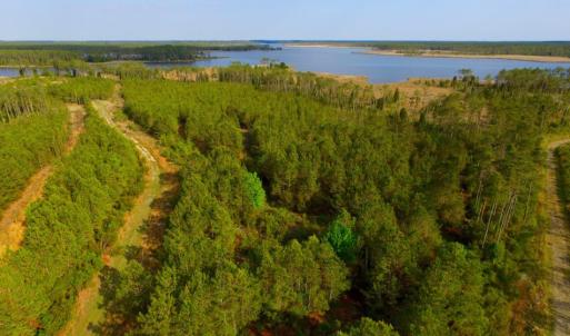 Photo of UNDER CONTRACT!  10.21 Acres of Waterfront Land For Sale in Hyde County NC!