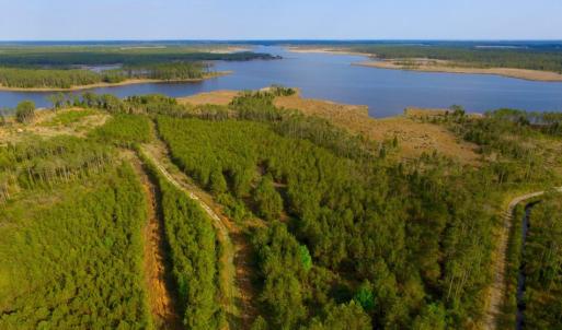 Photo of UNDER CONTRACT!  10.21 Acres of Waterfront Land For Sale in Hyde County NC!
