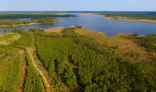 Photo of UNDER CONTRACT!  10.21 Acres of Waterfront Land For Sale in Hyde County NC!