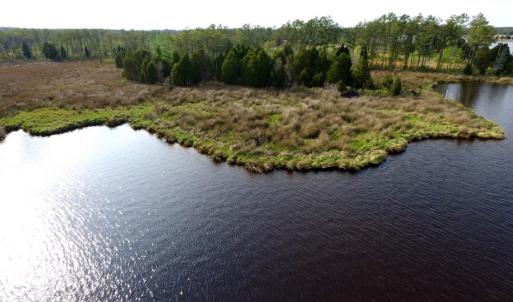 Photo of UNDER CONTRACT!  10.21 Acres of Waterfront Land For Sale in Hyde County NC!