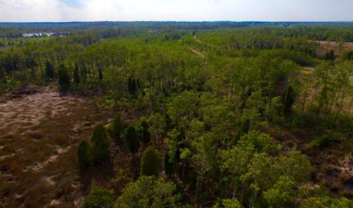 Photo of UNDER CONTRACT!  10.21 Acres of Waterfront Land For Sale in Hyde County NC!