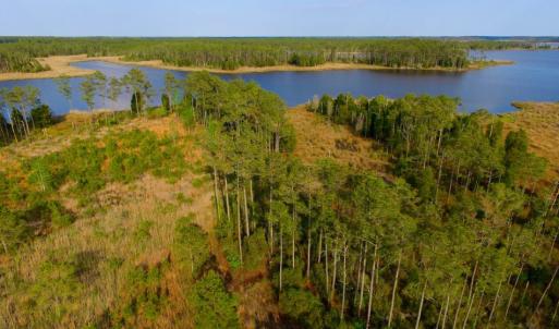 Photo of UNDER CONTRACT!  10.21 Acres of Waterfront Land For Sale in Hyde County NC!