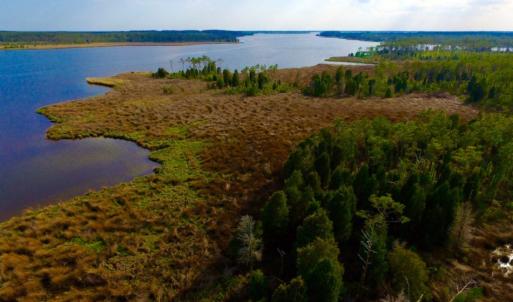 Photo of UNDER CONTRACT!  10.21 Acres of Waterfront Land For Sale in Hyde County NC!