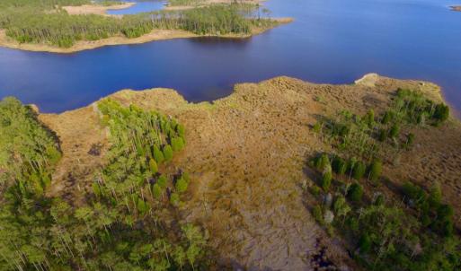Photo of UNDER CONTRACT!  10.21 Acres of Waterfront Land For Sale in Hyde County NC!