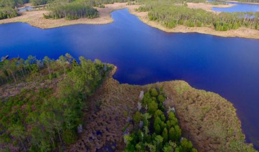 Photo of UNDER CONTRACT!  10.21 Acres of Waterfront Land For Sale in Hyde County NC!