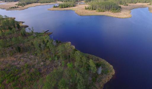 Photo of UNDER CONTRACT!  10.21 Acres of Waterfront Land For Sale in Hyde County NC!