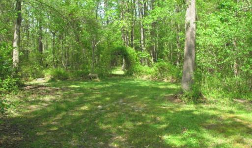 Photo of SOLD!  3.4 Acres of Residential Farm Land with Home in Isle of Wight County VA!