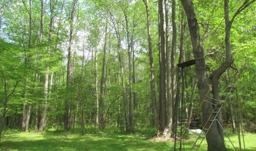 Photo of SOLD!  3.4 Acres of Residential Farm Land with Home in Isle of Wight County VA!